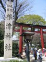 根津神社